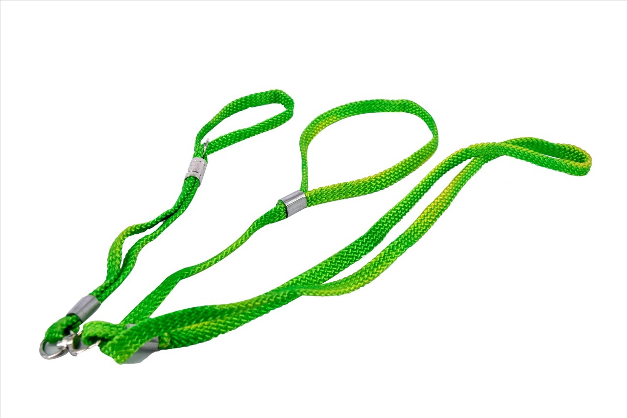 10-562 3分迷你犬套帶