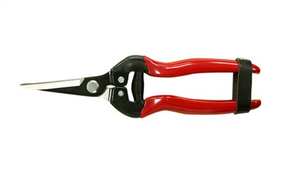 66-134  LONG FLORAL SHEARS